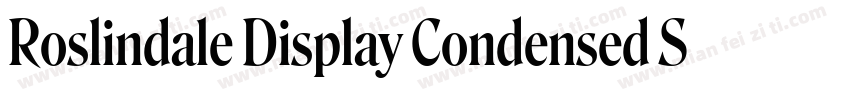 Roslindale Display Condensed Semi B字体转换
